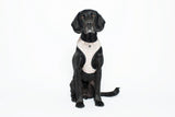 Mog & Bone Neoprene Dog Harness - 2 Colours/4 Sizes
