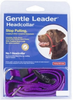 Gentle Leader Headcollar - Purple - Various Sizes